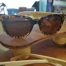 Load image into Gallery viewer, Bamboo Sunglasses Ast.
