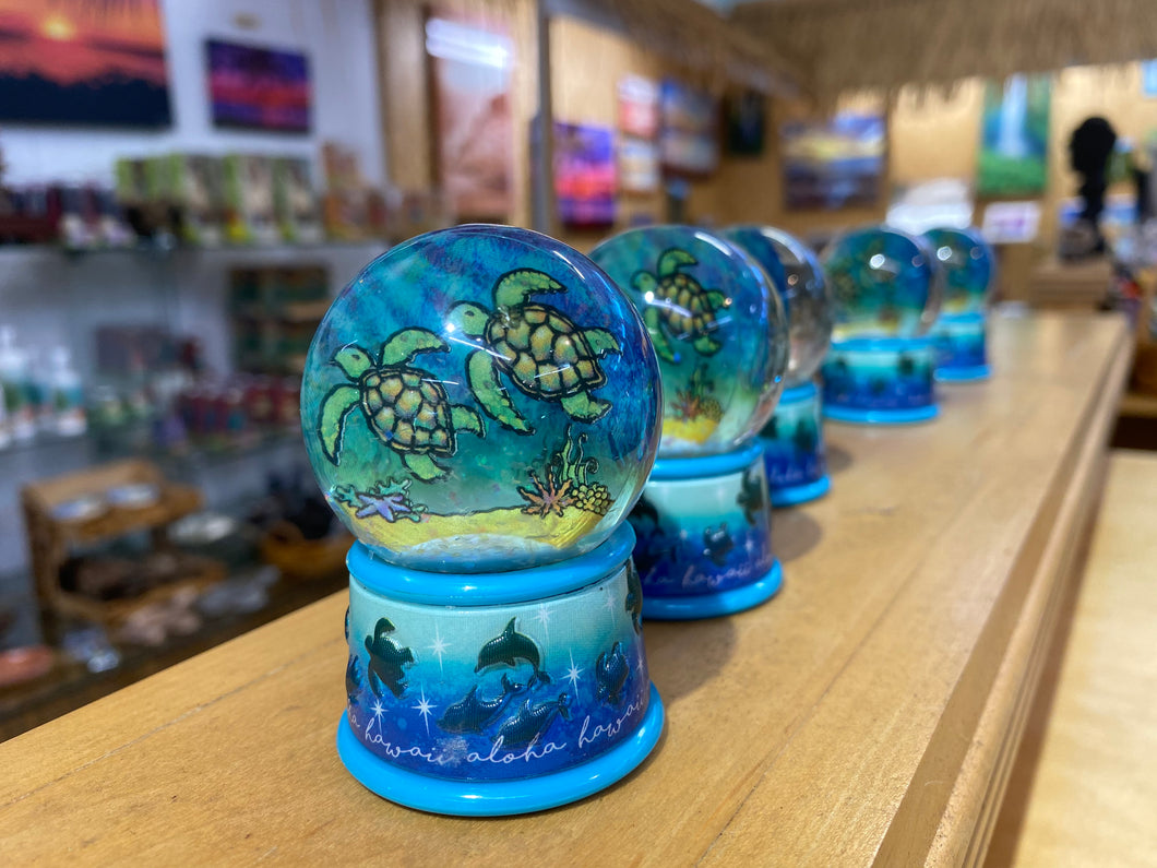 Hawaiian Style Sea Globe