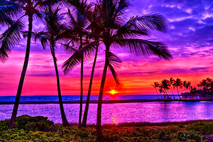A Painted Sunset